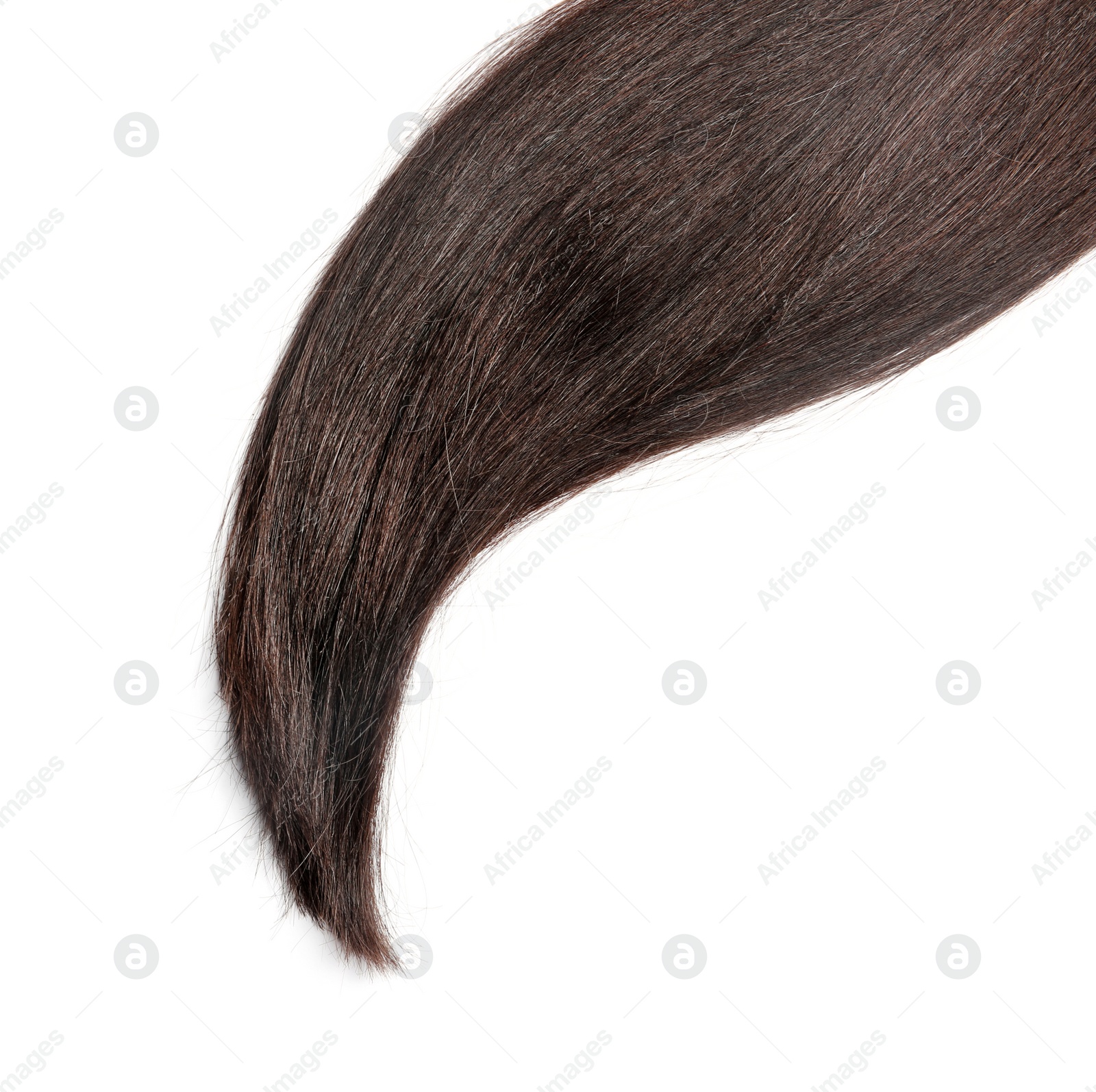 Photo of Lock of healthy brown hair on white background