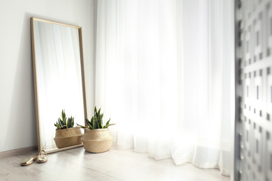 Large mirror and potted plant near window in light room