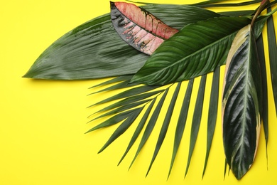 Photo of Flat lay composition with tropical leaves and space for text on color background