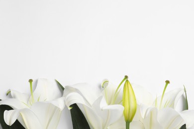Photo of Beautiful lily flowers on white background, flat lay. Space for text