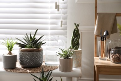 Photo of Beautiful potted houseplants near window at home