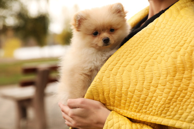 Photo of Woman with small fluffy dog outdoors on autumn day, closeup
