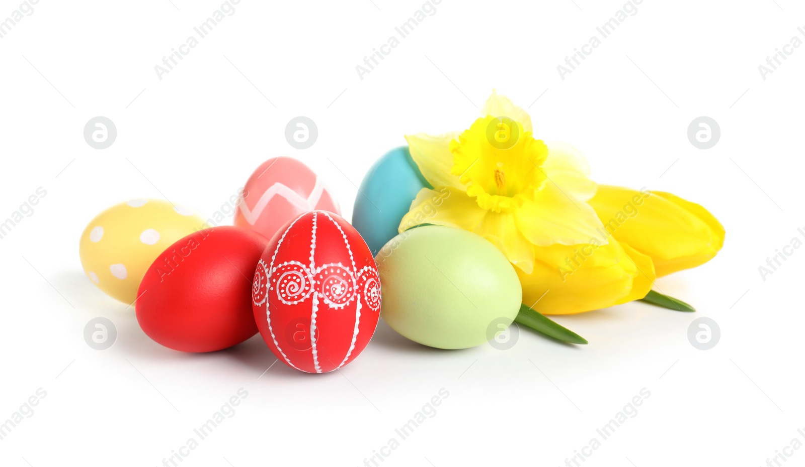 Photo of Colorful painted Easter eggs and spring flowers on white background