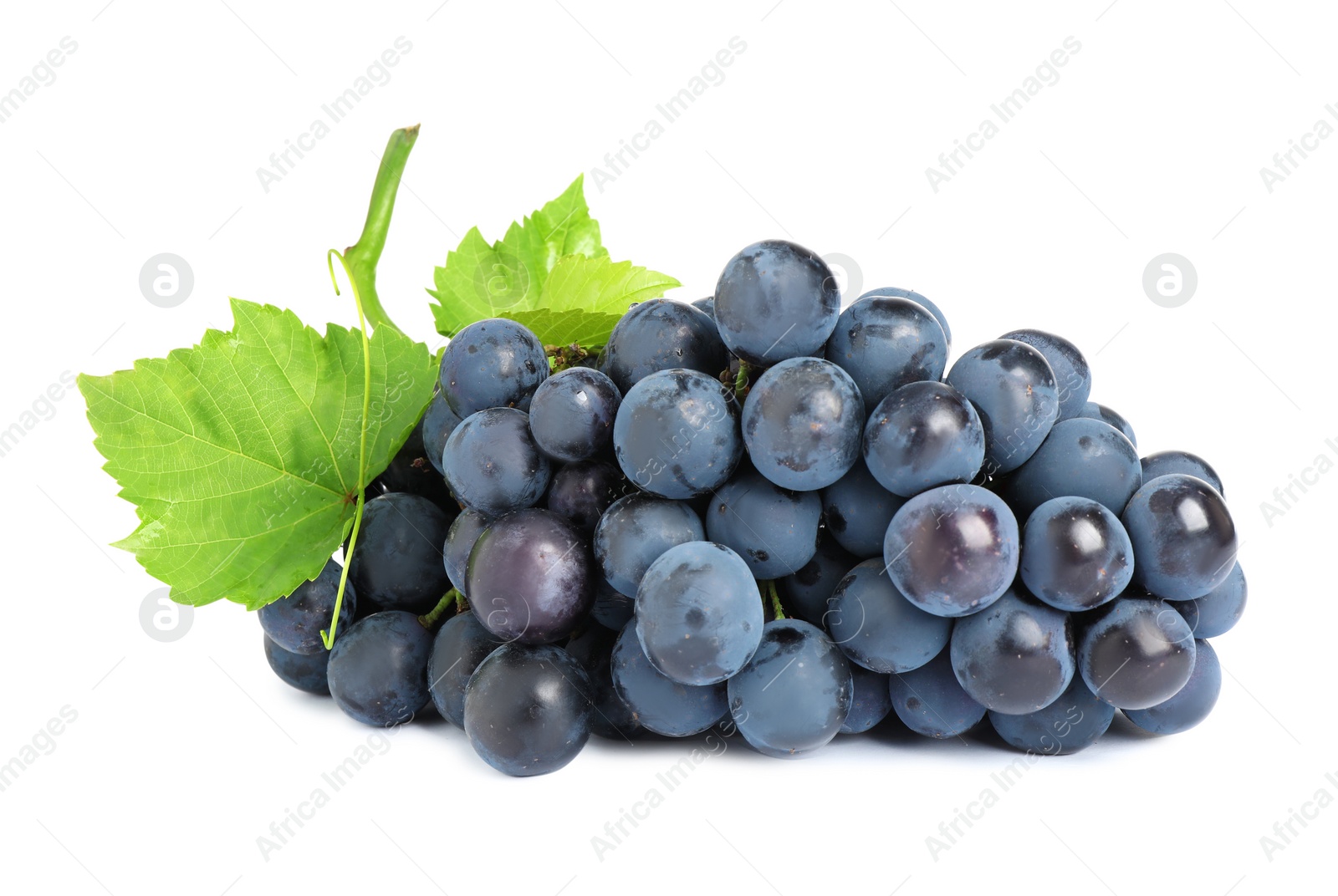 Photo of Bunch of fresh ripe juicy black grapes isolated on white