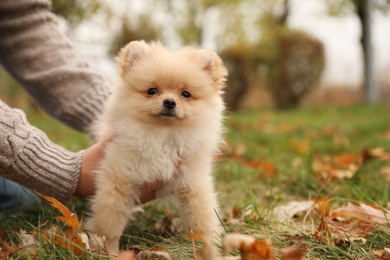 Photo of Man with small fluffy dog in autumn park, closeup