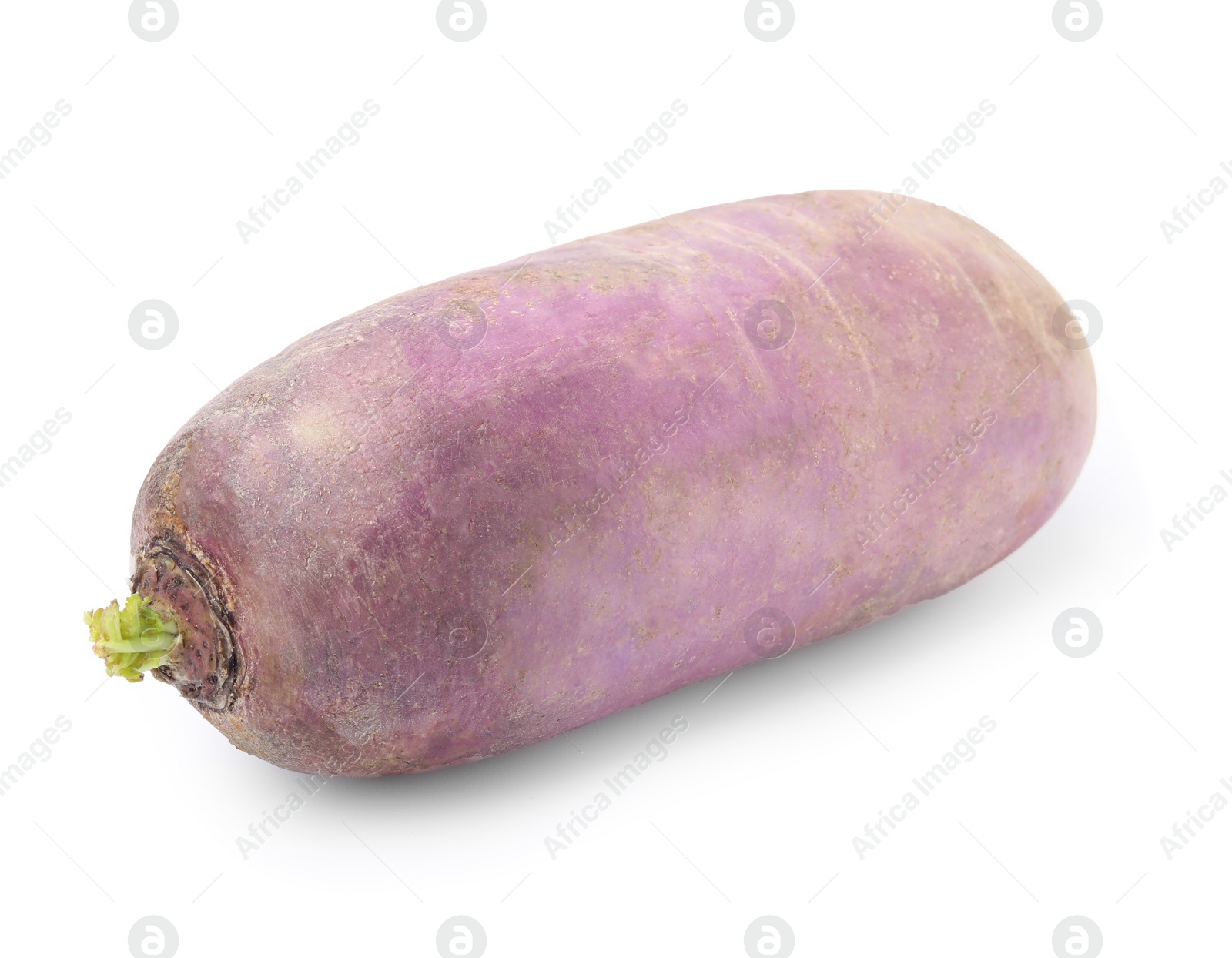 Photo of Ripe purple daikon radish isolated on white