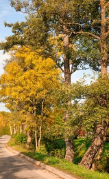 Picturesque view of trees and footpath in beautiful park. Autumn season