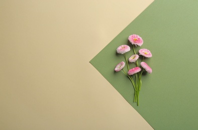 Photo of Flat lay composition with spring daisy flowers and space for text on color background