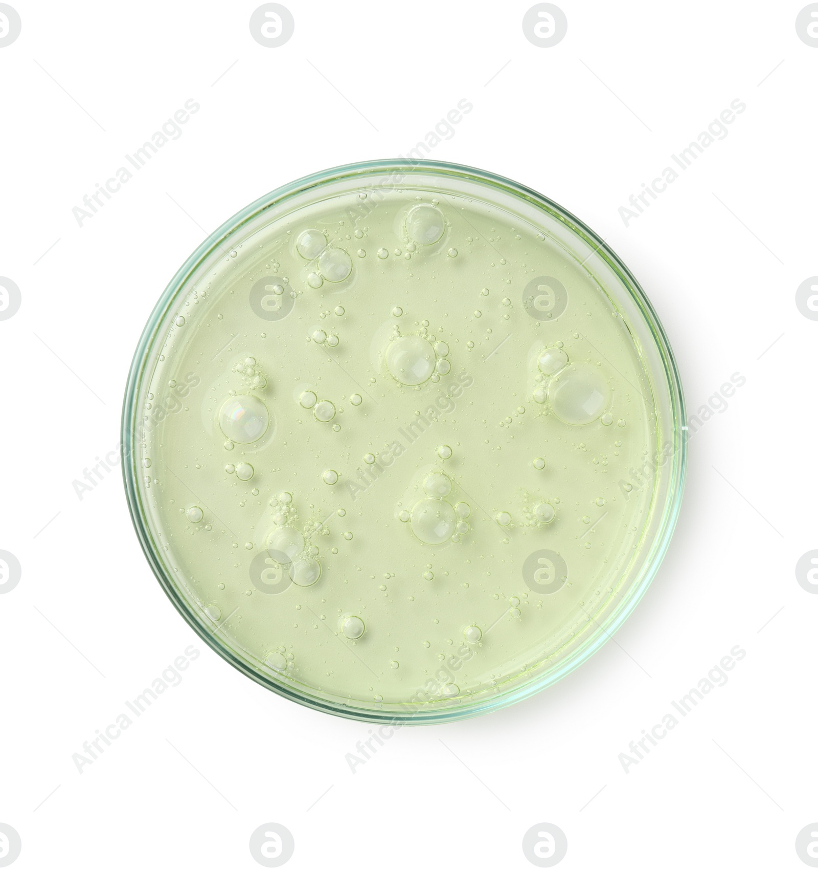 Photo of Petri dish with liquid sample on white background, top view