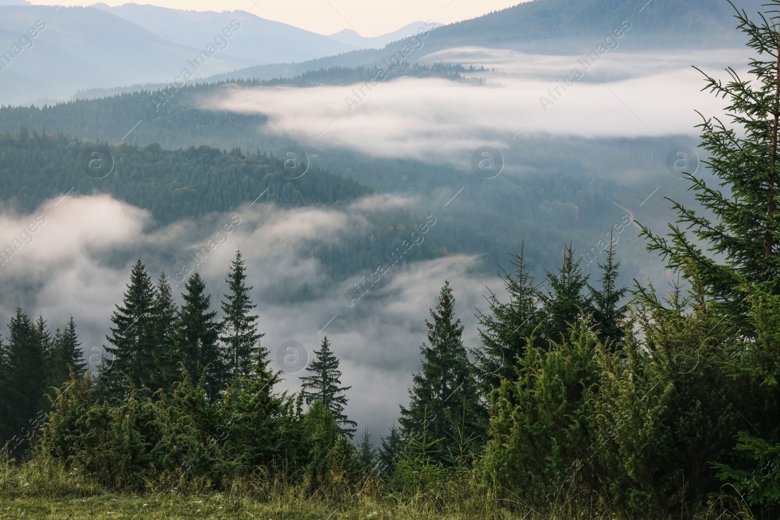 Photo of Amazing view of beautiful mountain landscape covered with fog