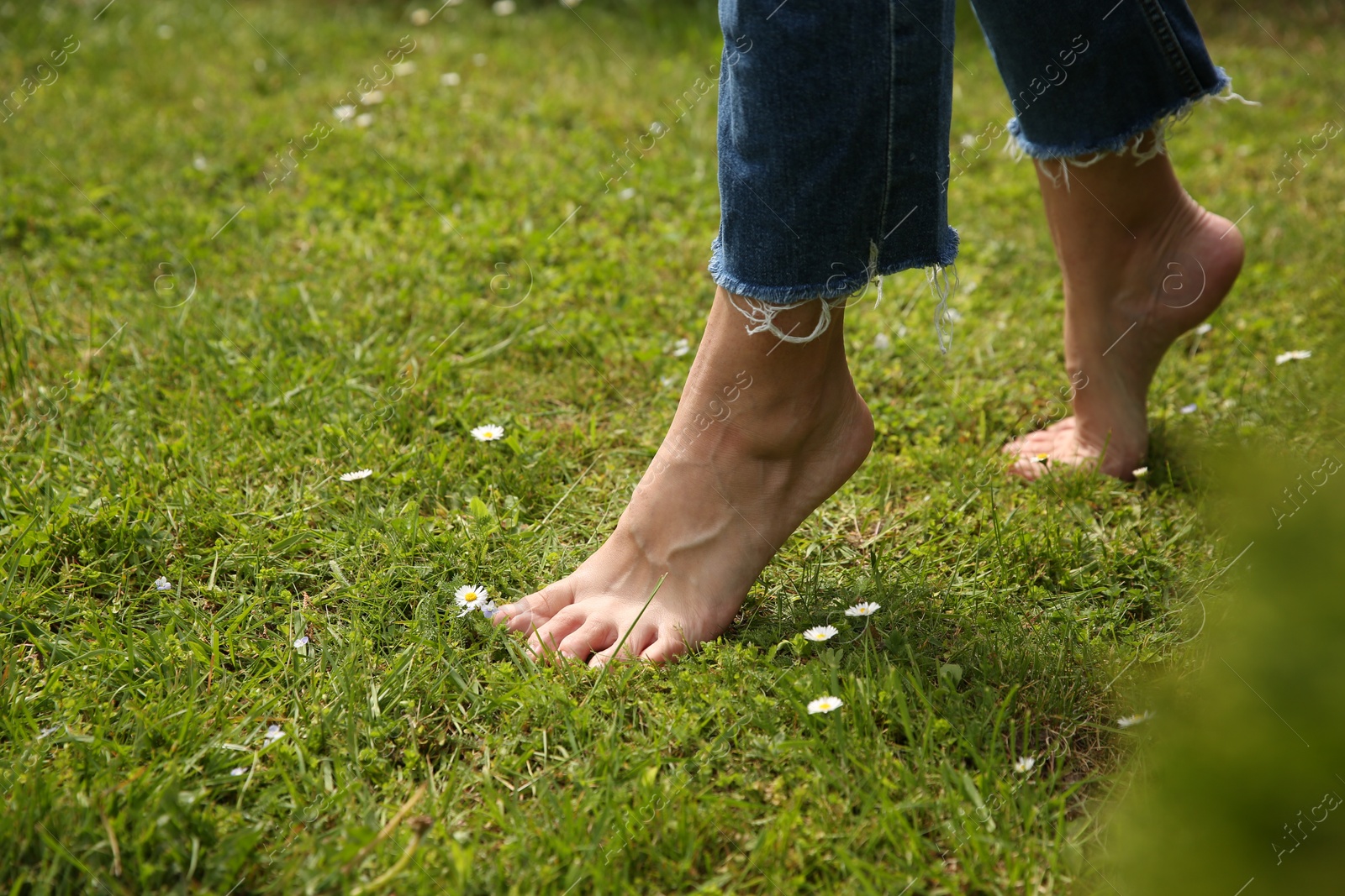 Photo of Woman walking barefoot on green grass outdoors, closeup