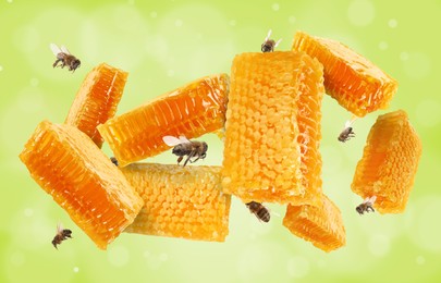 Image of Pieces of honeycomb in air and bees flying on yellowish green background, bokeh effect