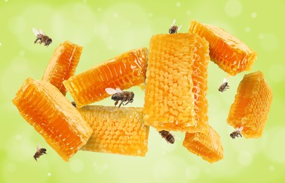 Pieces of honeycomb in air and bees flying on yellowish green background, bokeh effect