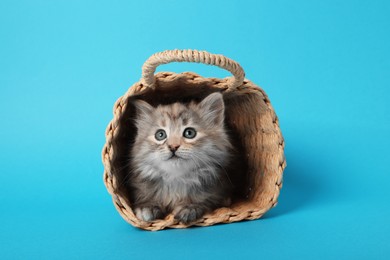 Photo of Cute kitten in wicker basket on light blue background