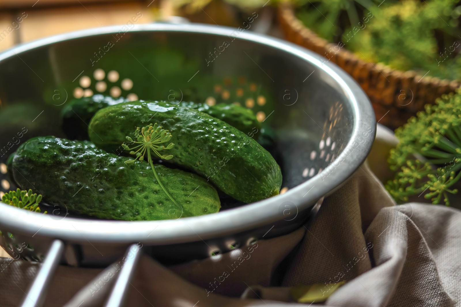 Photo of Fresh cucumbers in colander prepared for canning on table, closeup