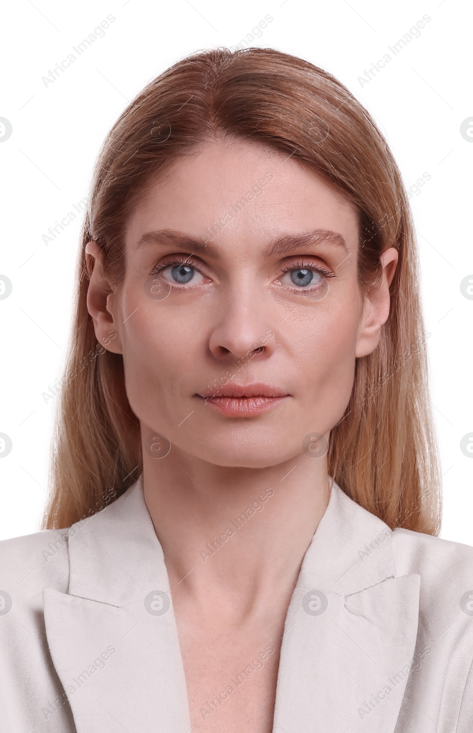 Image of Passport photo. Portrait of woman on white background