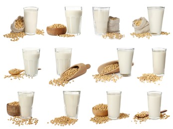 Set with natural soy milk and beans on white background