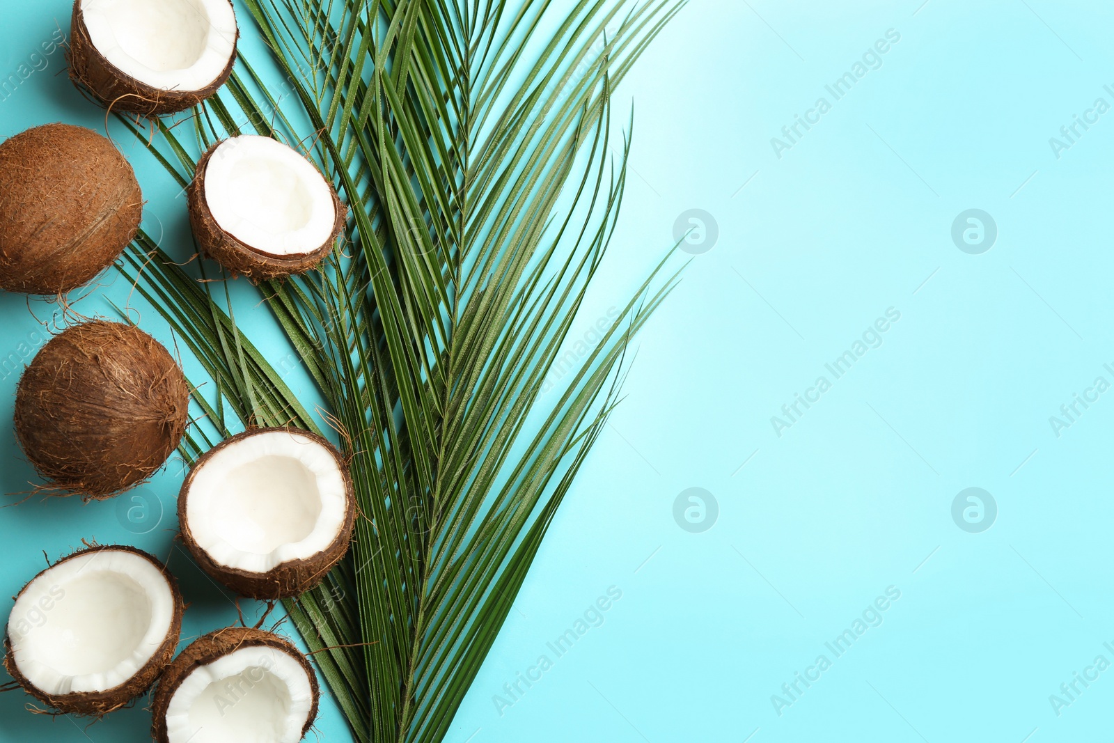 Photo of Flat lay composition with coconuts and space for text on color background