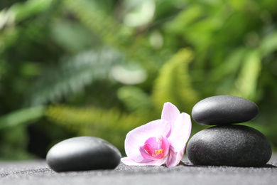 Stones and orchid flower on black sand against blurred background. Zen concept