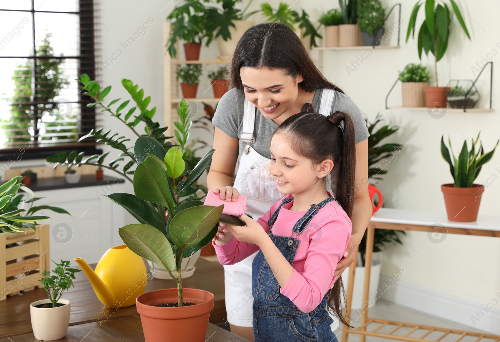 Photo of Mother and daughter taking care of plant at home