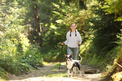 Photo of Woman with cute dog and trekking poles hiking in forest