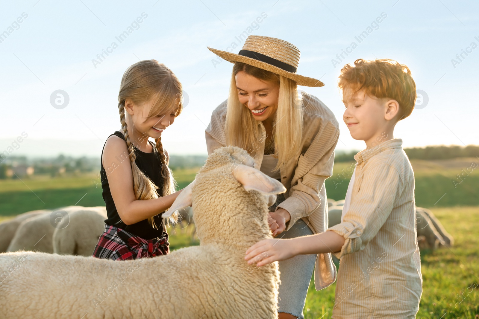 Photo of Mother and children with sheep on pasture. Farm animals