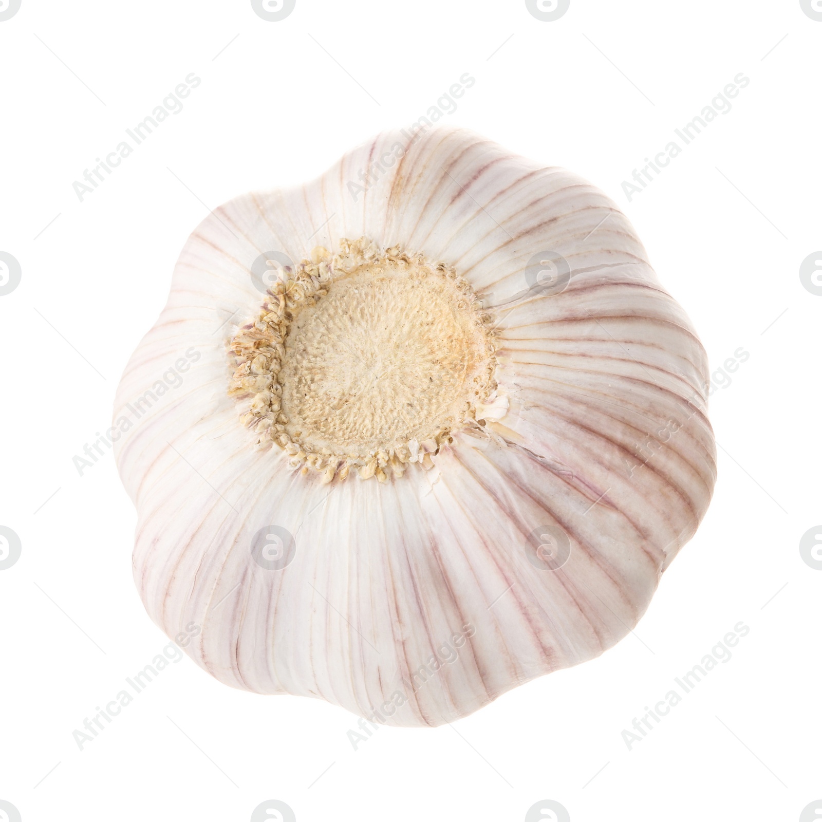 Photo of Unpeeled head of fresh garlic isolated on white