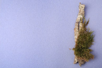 Photo of Tree bark piece with moss on light blue background, top view. Space for text