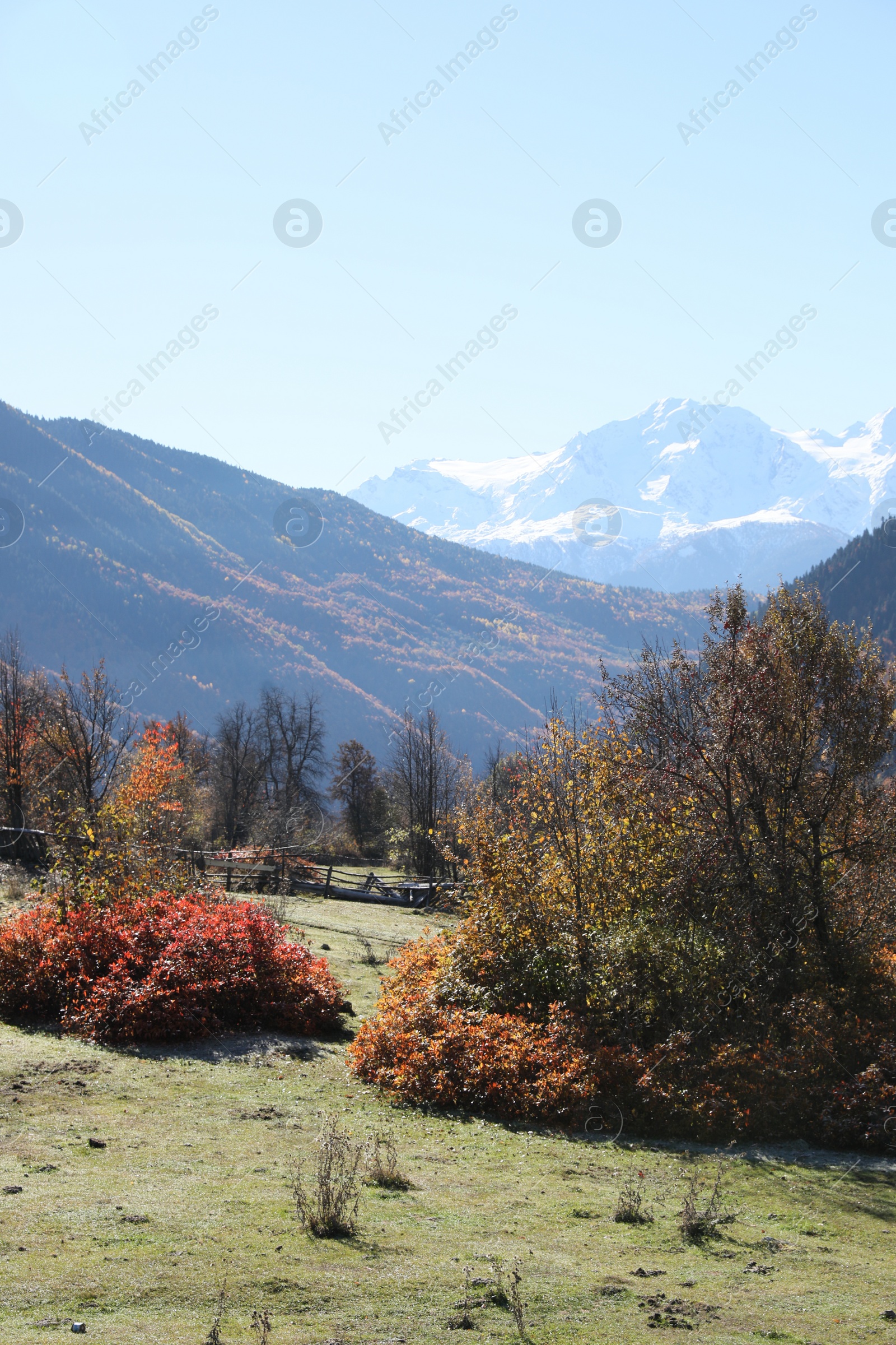 Photo of Picturesque view of beautiful high mountains under blue sky on sunny day