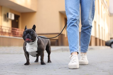 Photo of Woman walking with cute French Bulldog outdoors, closeup