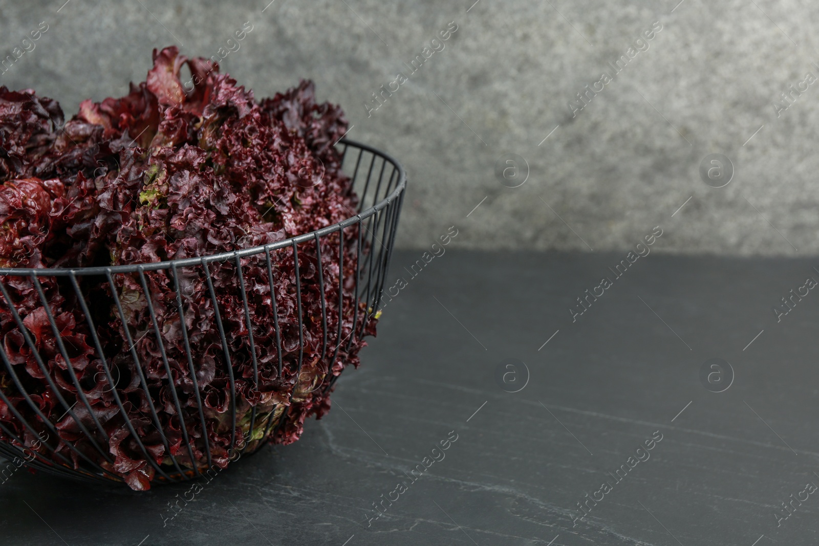 Photo of Metal bowl with red coral lettuce on grey table. Space for text