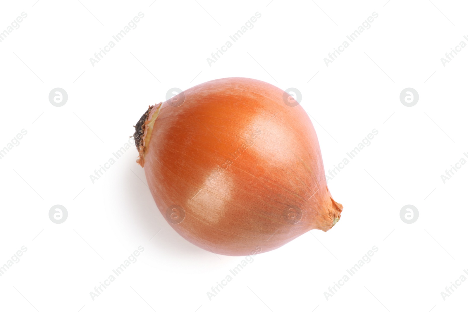 Photo of One yellow fresh onion isolated on white, top view