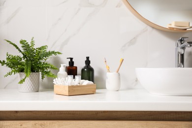 Photo of Beautiful green fern and toiletries on countertop in bathroom