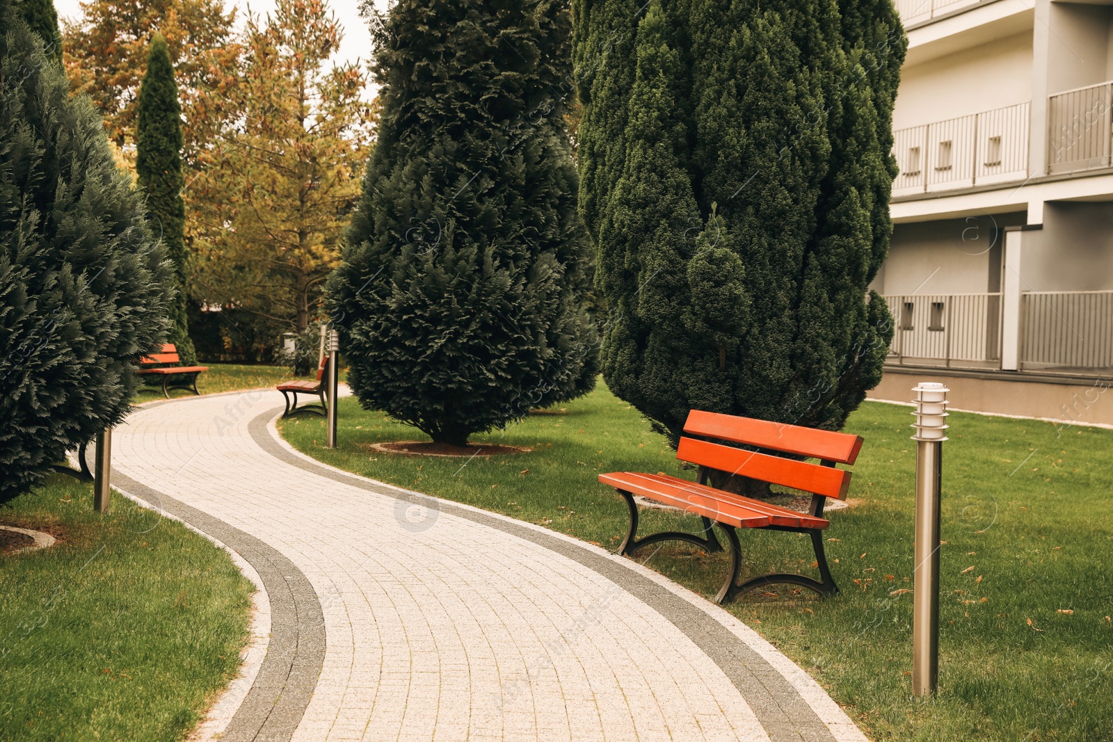 Photo of Winding pathway with beautiful bushes and benches in park