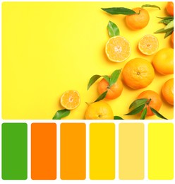 Image of Color matching palette. Flat lay composition with ripe tangerines on yellow background, space for text