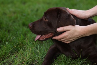 Man with adorable Labrador Retriever dog on green grass in park, closeup. Space for text