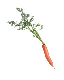 Photo of Tasty ripe juicy carrot isolated on white