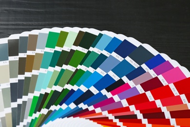 Photo of Color palette samples on black background, closeup