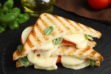 Delicious grilled sandwiches with mozzarella, tomatoes and basil on black board