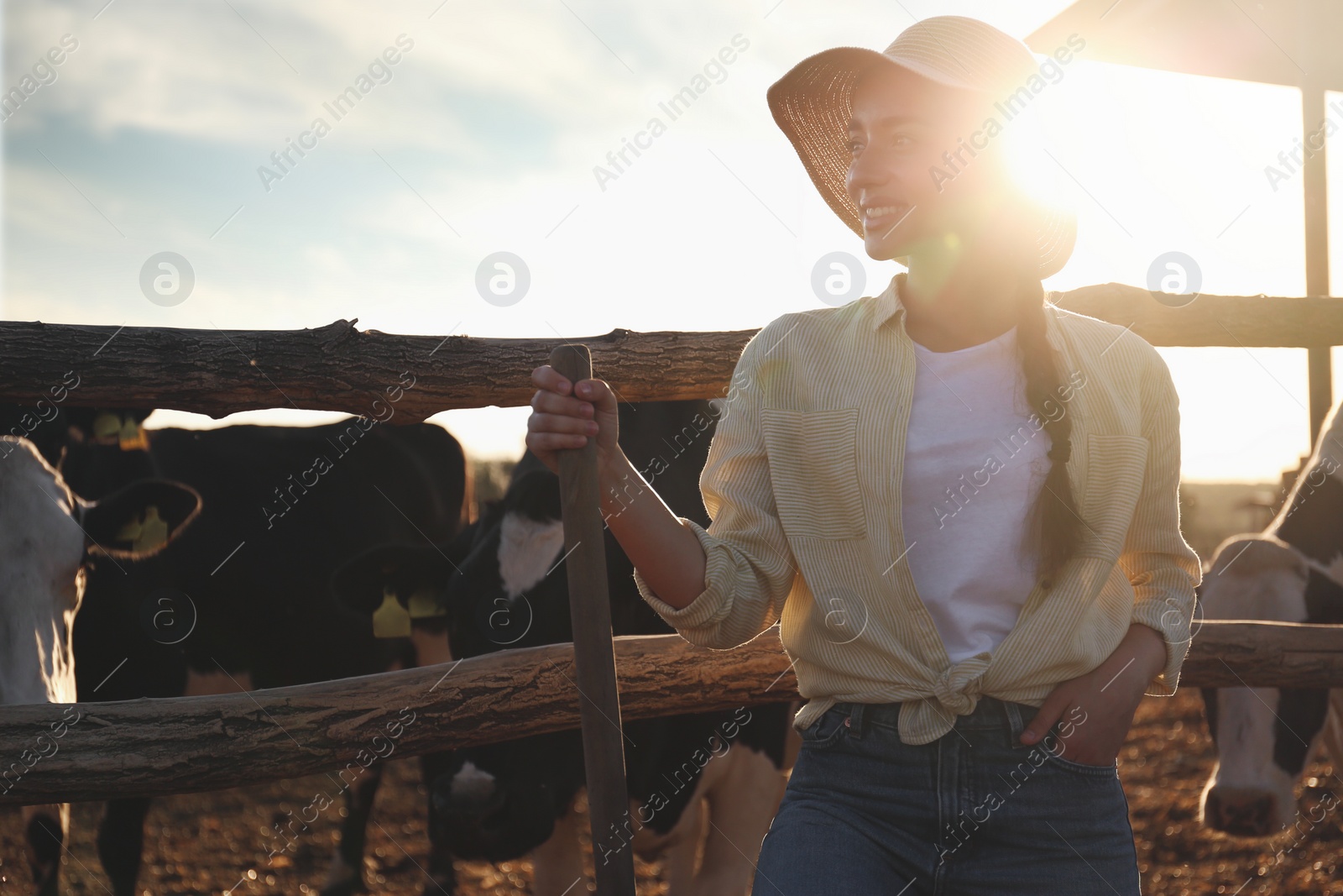 Photo of Young woman with shovel standing near cow pen on farm. Animal husbandry