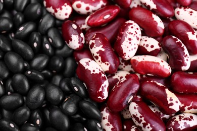 Photo of Different kinds of beans as background, closeup
