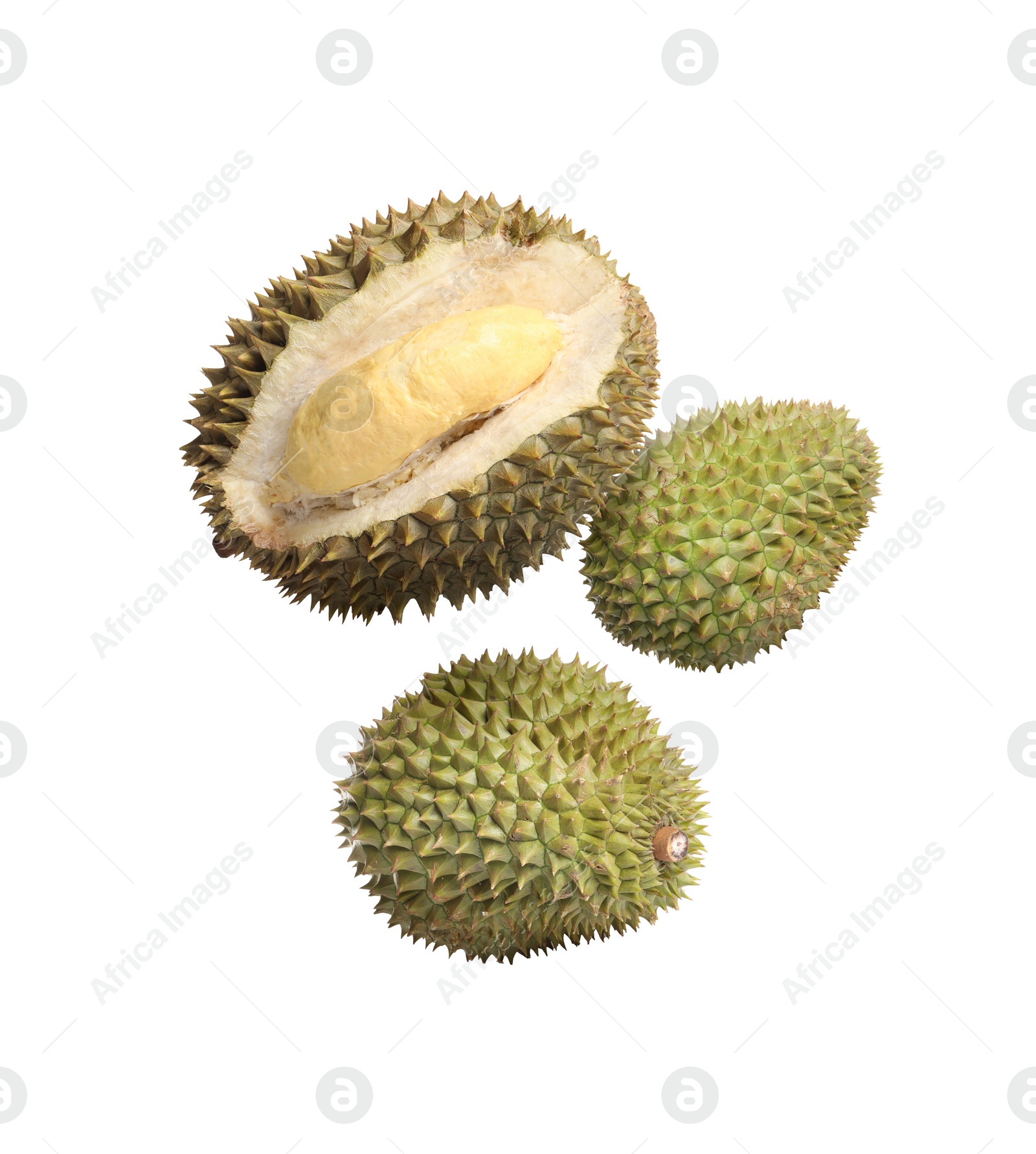 Image of Delicious ripe durian fruits falling on white background