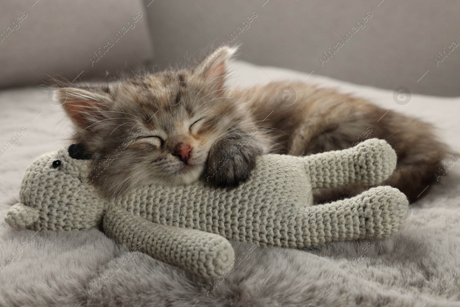 Photo of Cute kitten sleeping with toy on fuzzy grey blanket