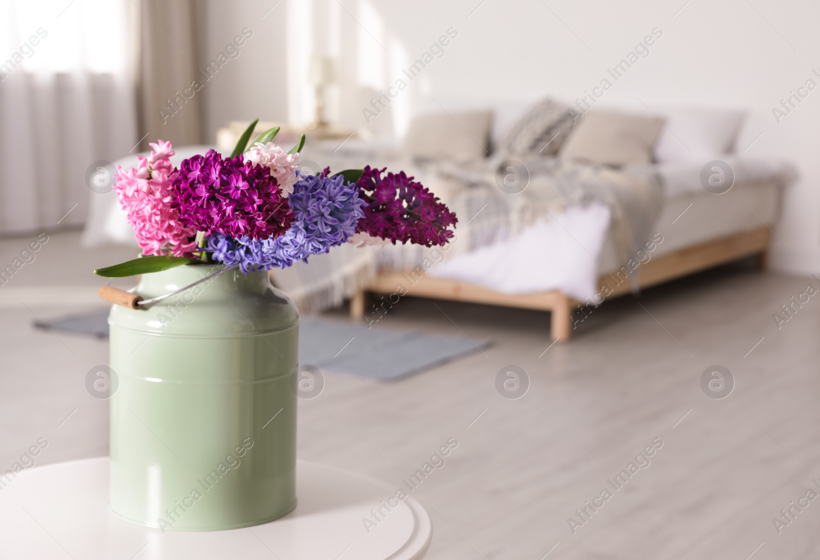 Photo of Beautiful hyacinths in metal can on table indoors, space for text. Spring flowers