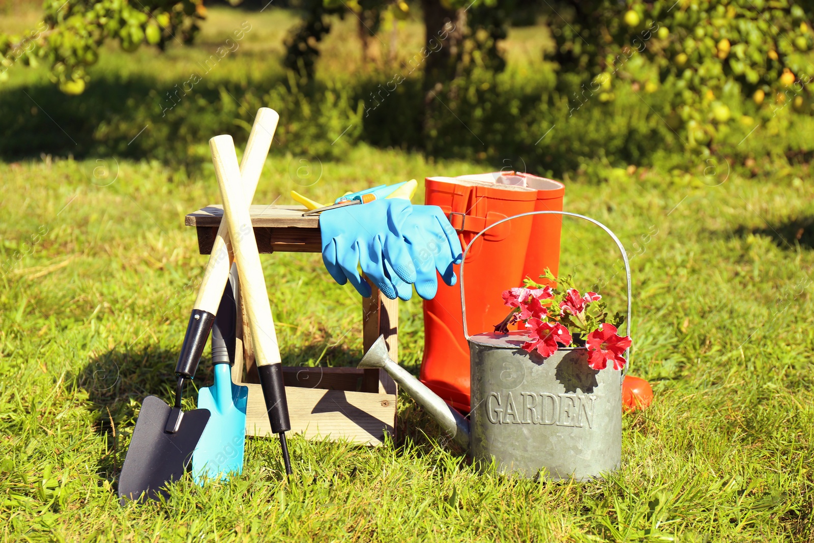 Photo of Set of gardening tools on grass outdoors