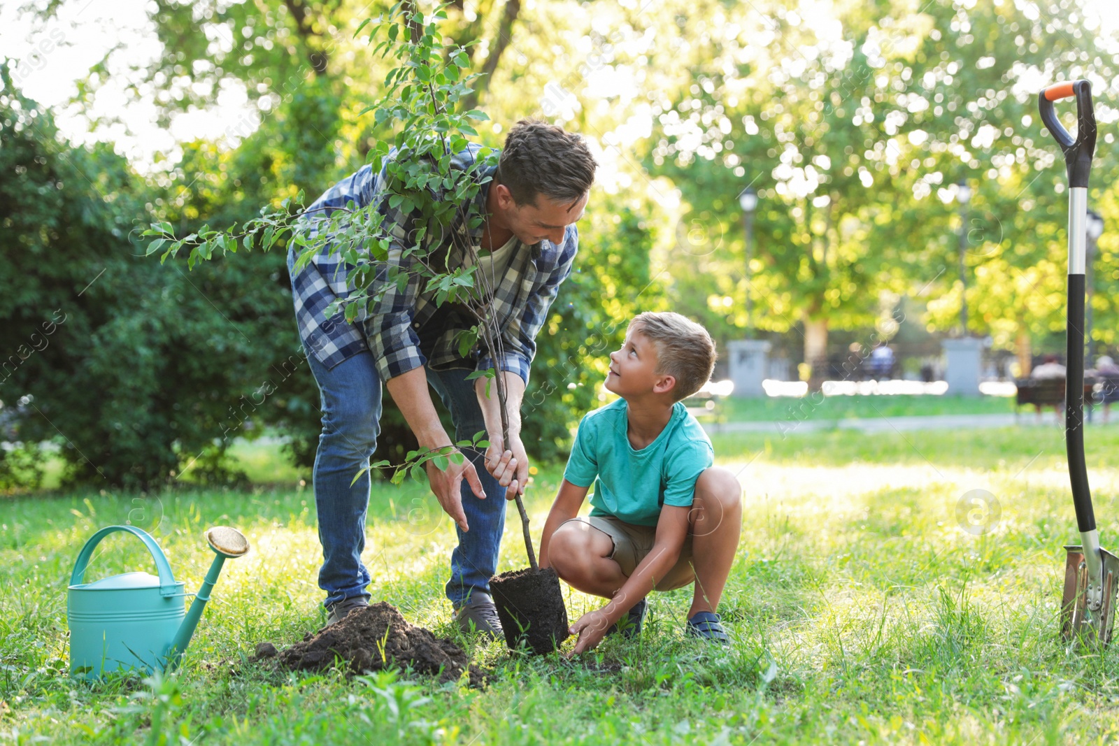 Photo of Dad and son planting tree in park on sunny day