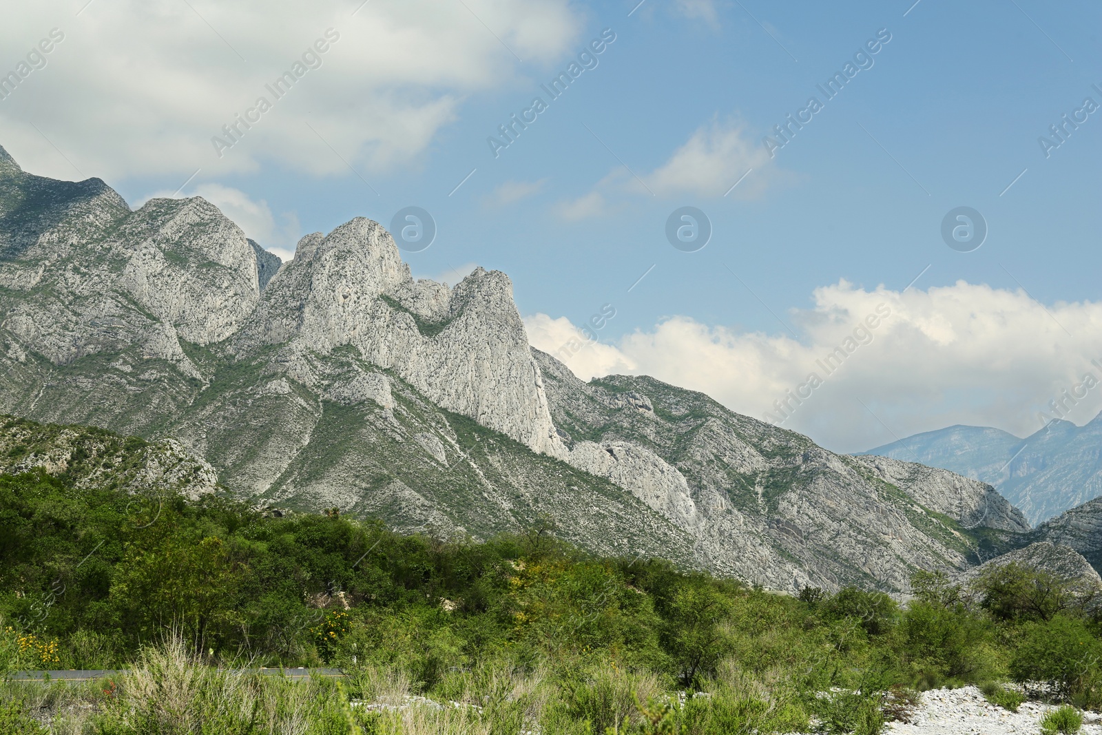 Photo of Picturesque view of beautiful mountains and plants under cloudy sky