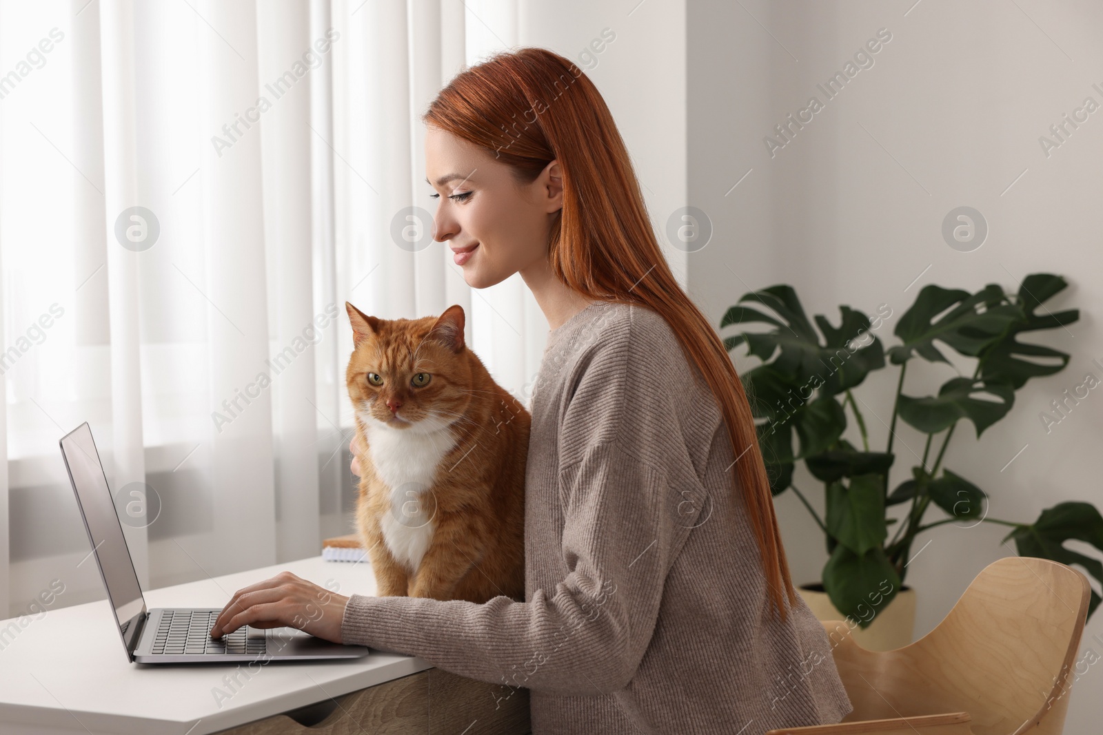 Photo of Woman with cat working at desk. Home office