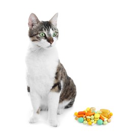 Image of Vitamins for pets. Cute cat and different pills on white background