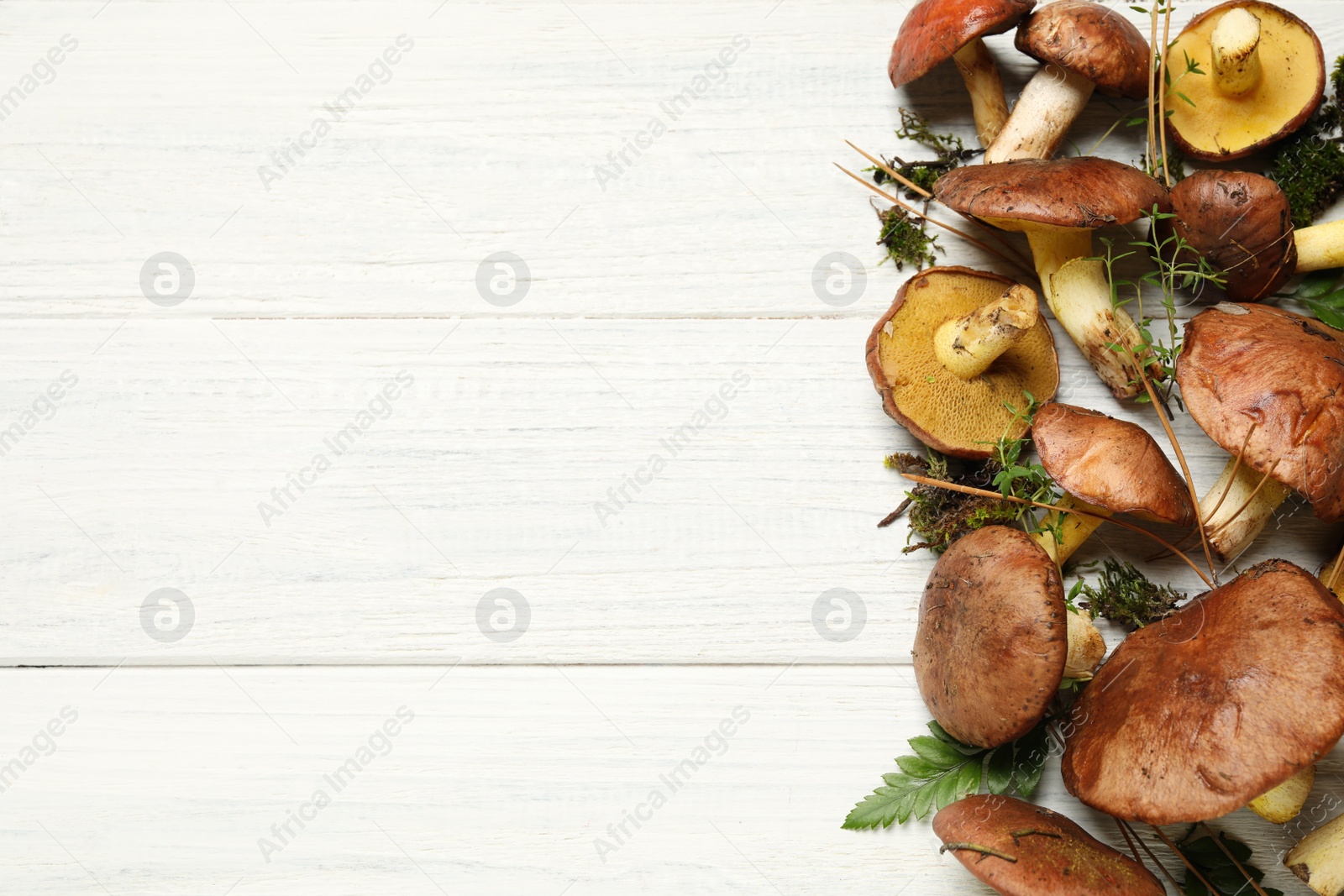 Photo of Boletus mushrooms and thyme on white wooden table, flat lay. Space for text